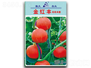 ��t�S-�ϹϷN��-�մ��r�I(y��)