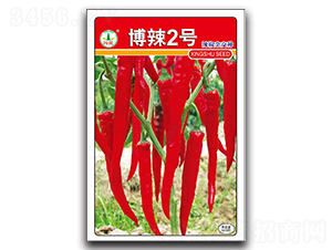 博辣2號(hào)-辣椒種子-興蔬種業(yè)