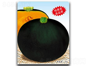 ������-�ϹϷN��-�մ��r�I(y��)