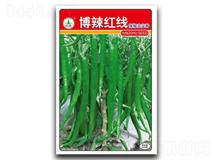 博辣紅線-辣椒種子-興蔬種業(yè)