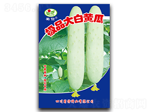 �OƷ����S��-�S�ϷN��-���ŷN�I(y��)