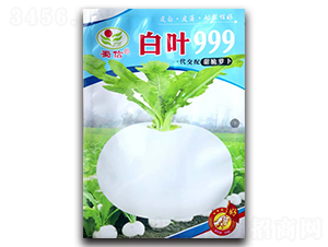 ���~999-�}���N��-���ŷN�I(y��)