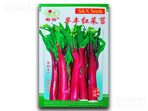 ���S�t��̦-��̦�N��-���ŷN�I(y��)