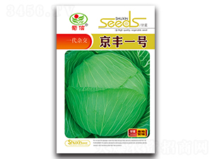 雜交京豐一號-甘藍種子-蜀信種業(yè)