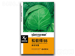 ��ܛ�G55-���{(l��n)�N��-���зN�I(y��)