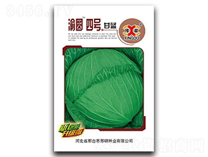 ��A��̖-���{(l��n)�N��-���зN�I(y��)