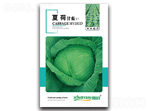 �ĺ�-���{(l��n)�N��-���зN�I(y��)