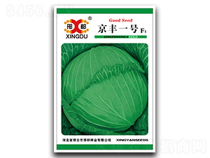 ���Sһ̖-���{(l��n)�N��-���зN�I(y��)