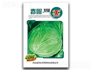 ����-���{(l��n)�N��-���зN�I(y��)