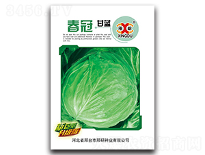 ����-���{(l��n)�N��-���зN�I(y��)