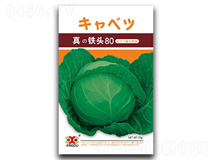 ���F�^80-���{(l��n)�N��-���зN�I(y��)