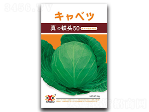 ���F�^50-���{(l��n)�N��-���зN�I(y��)