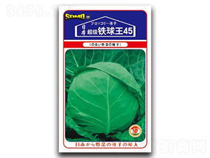 �����F����45-���{(l��n)�N��-���зN�I(y��)