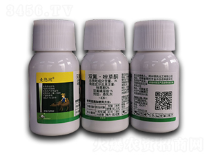 3%�p�������ͪ���鄩-�����e-�S�՘�