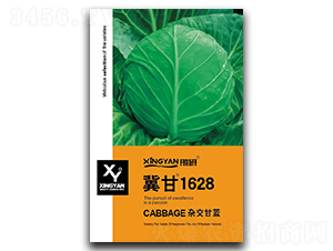 ����1628-���{�N��-���зN�I(y��)