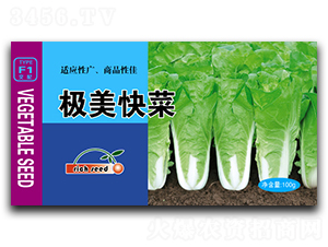 �O�����-�ײ˷N��-����N�I(y��)