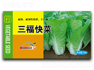 �������-�ײ˷N��-����N�I(y��)