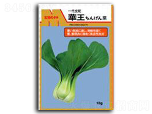 �A��-��˷N��-����N�I(y��)