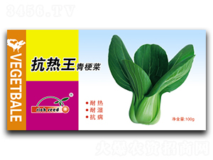 抗熱王-青菜種子-瑞奇種業(yè)