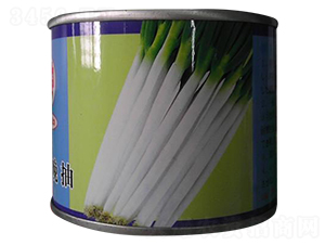 �O����-���[�N��-����N�I(y��)