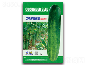 �����s���S�ϣ�129��-�S�ϷN��-�����r(n��ng)