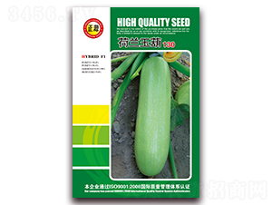 荷蘭玉葫（130）-西葫蘆種子-和利農(nóng)