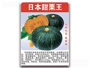 �ձ�������-�ϹϷN��-���÷N��