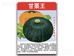 ������-�ϹϷN��-���÷N��