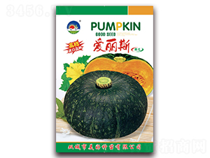 ��(��i)��˹-�ϹϷN��-���÷N��