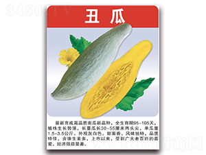 ���-�ϹϷN��-���÷N��