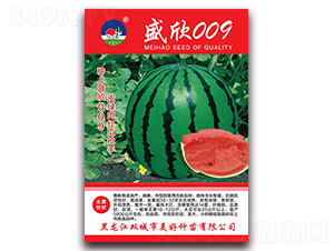 盛欣009-西瓜種子-美好種苗