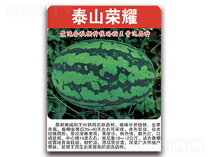 泰山榮耀-西瓜種子-美好種苗