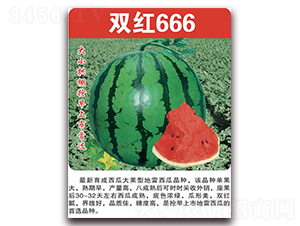 雙紅666-西瓜種子-美好種苗