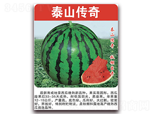 泰山傳奇-西瓜種子-美好種苗