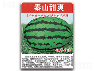 泰山甜爽-西瓜種子-美好種苗