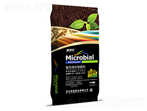 ��(f��)��΢�������-����d-��ʢ�ʘI(y��)