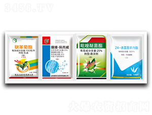 ȫ�Ø�(l��)�ײ�-��ɂ��I(y��)