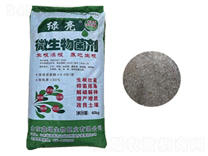 40kg΢�������-�G��-��������