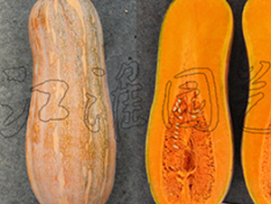 ����6̖(h��o)-�ϹϷN��-�����@ˇ