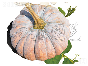 �P(p��n)��202-�ϹϷN��-�����@ˇ