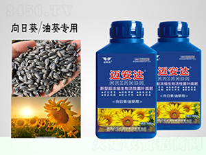 ���տ��Ϳ����ͳ���s������Ծ���-�~���_