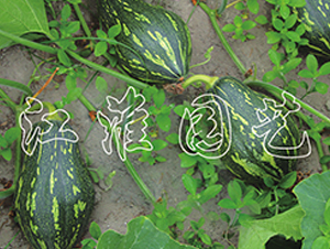 ����1̖(h��o)-�ϹϷN��-�����@ˇ