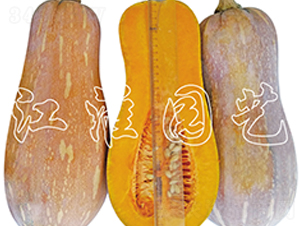 ��(y��u)��2̖(h��o)-�ϹϷN��-�����@ˇ