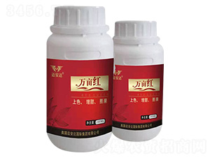 萬畝紅-邁安達(dá)