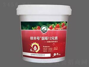 �nݮ12Ԫ��-�z�S̖-�ǻ���