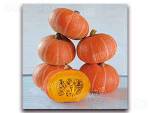 �t��1̖(h��o)-�ϹϷN��-���ƷN��