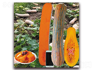 �����۱�-�ϹϷN��-���ƷN��