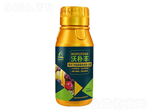 250ml�����T����������΢��Ԫ��-�֘��S-��̩�r�I(y��)