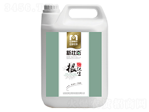 �_ʩ��-������-�������