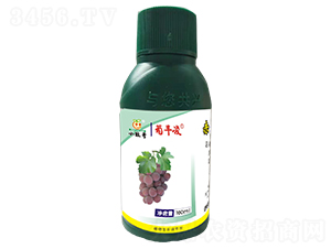 ���S���{��(ji��)��-�������